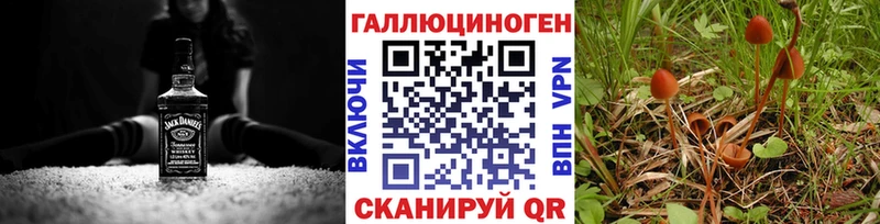 Псилоцибиновые грибы мицелий  Абакан 